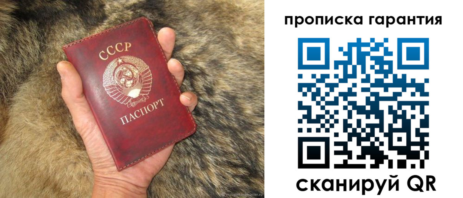 временная регистрация гарантия в Солнечногорске